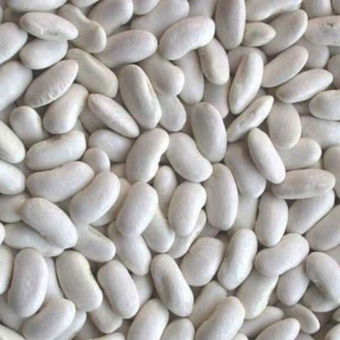 fasole bean (white)
